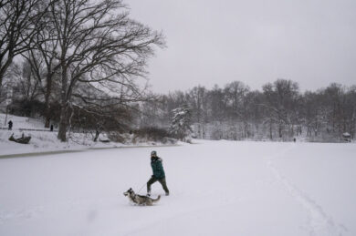 Coronavirus, i musei americani costretti a vendere  opere d’arte