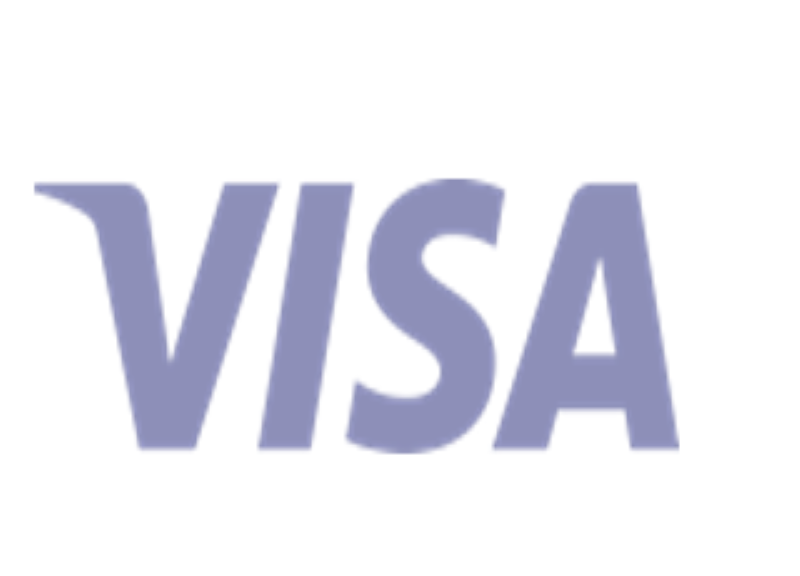 Visa, al via Visa Everywhere Initiative per le startup innovative Visa, al via Visa Everywhere Initiative per le startup innovative