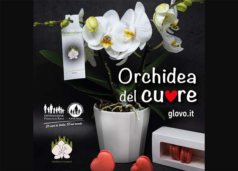 Fondazione Francesca Rava, l’Orchidea del Cuore: il dono solidale di San Valentino Fondazione Francesca Rava, l’Orchidea del Cuore: il dono solidale di San Valentino