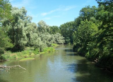 Arpa Lombardia: condizioni del fiume Olona in “lieve miglioramento”