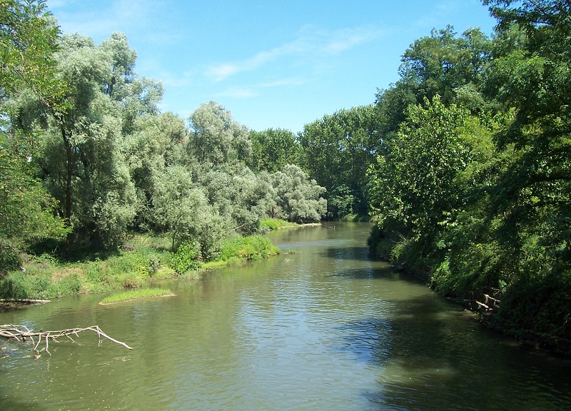 Arpa Lombardia: condizioni del fiume Olona in “lieve miglioramento” Arpa Lombardia: condizioni del fiume Olona in “lieve miglioramento”