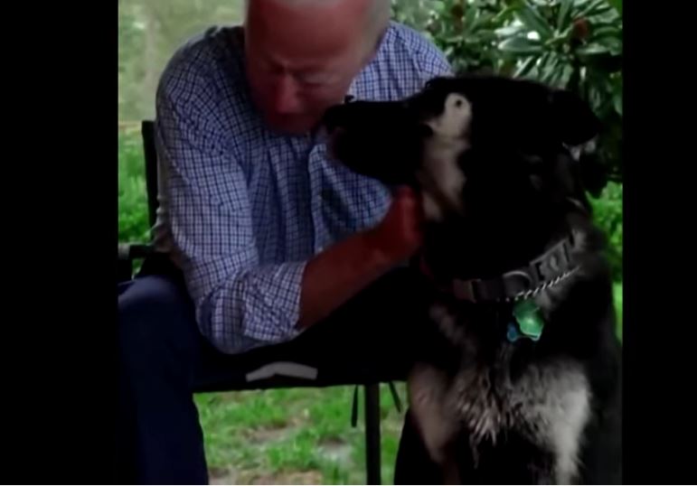 Usa, i cani di Biden allontanati dalla Casa Bianca. “Troppo aggressivi”. VIDEO Usa, i cani di Biden allontanati dalla Casa Bianca. “Troppo aggressivi”. VIDEO