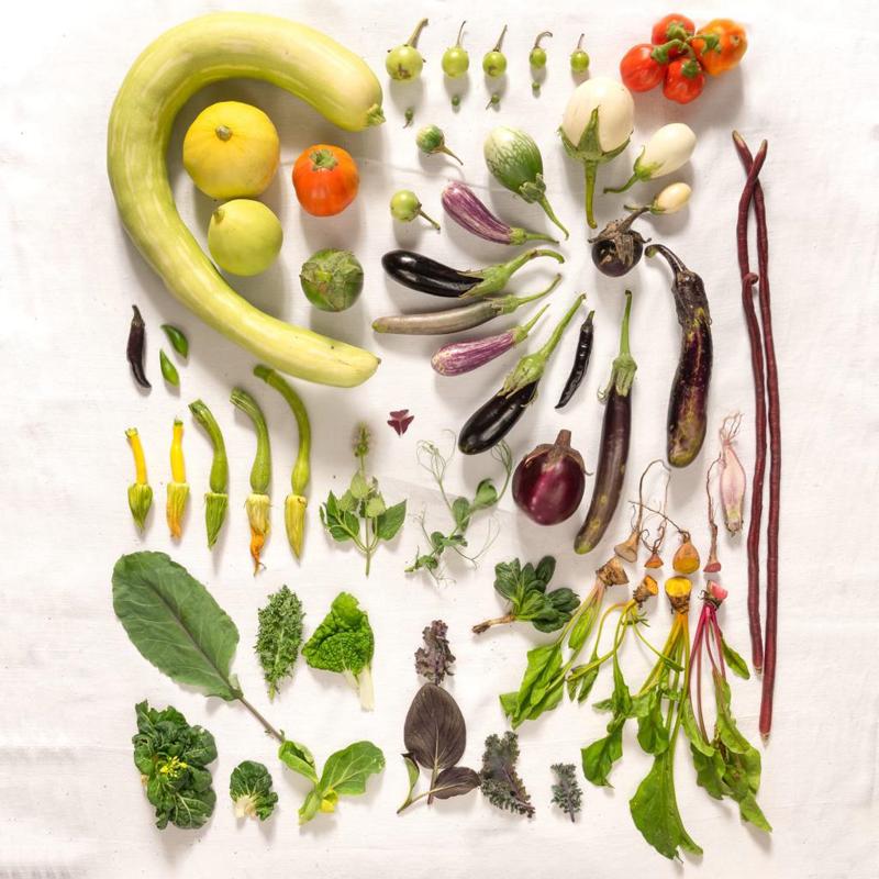 Biodiversità come risorsa creativa: così si supera lo spreco alimentare Biodiversità come risorsa creativa: così si supera lo spreco alimentare