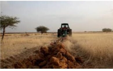 Ecco perché dall’Africa passa il futuro dell’Europa