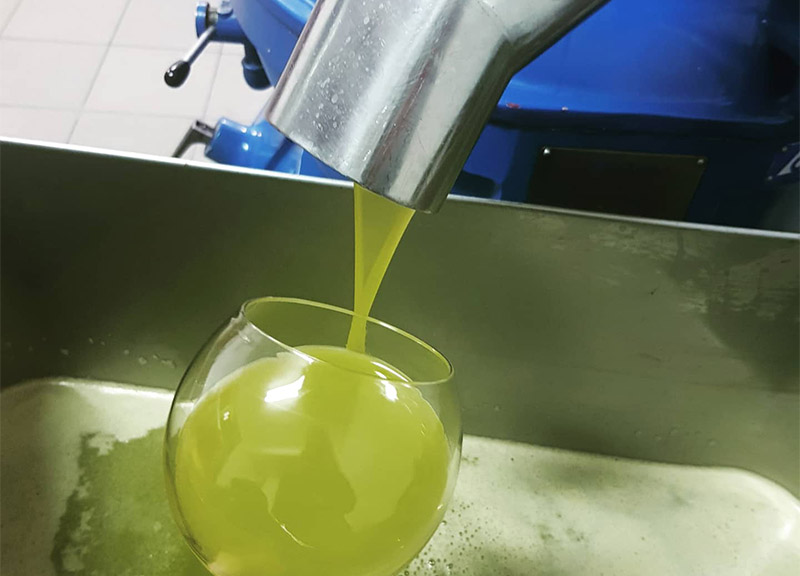 Olio e turismo fanno sistema seguendo l’esempio del Movimento del vino Olio e turismo fanno sistema seguendo l’esempio del Movimento del vino