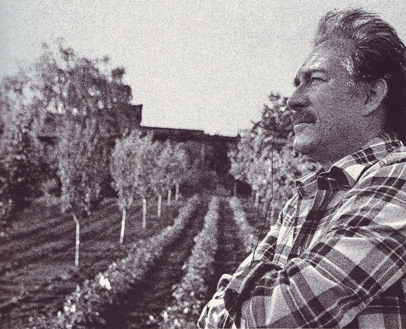 tognazzi Foto 2 Ugo AI tognazzi Foto 2 Ugo AI