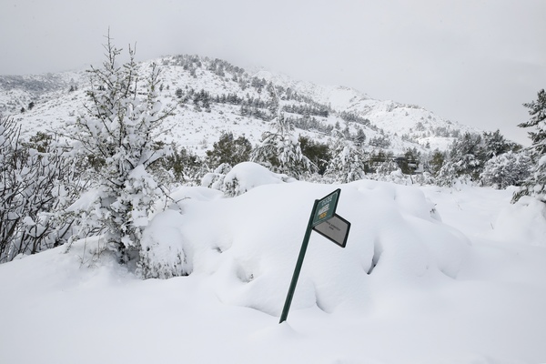 Previsioni meteo, attenzione: torna la neve, anche in pianura! Dove e quando