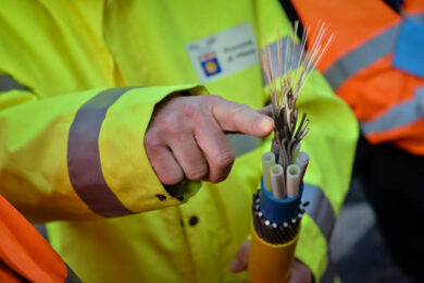 Italia zona bianca, sì ma per internet: 1 famiglia su 3 senza connessione e pc