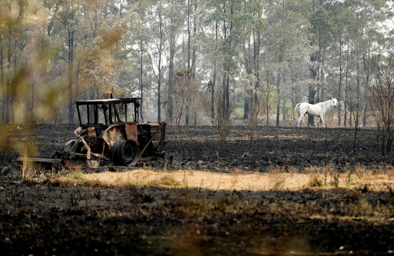 Incendi, locuste, epidemie: agricoltura, la vera vittima dei disastri naturali Incendi, locuste, epidemie: agricoltura, la vera vittima dei disastri naturali