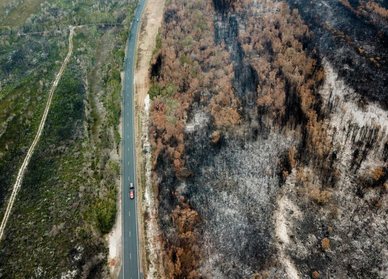 Incendi, locuste, epidemie: agricoltura, la vera vittima dei disastri naturali Incendi, locuste, epidemie: agricoltura, la vera vittima dei disastri naturali