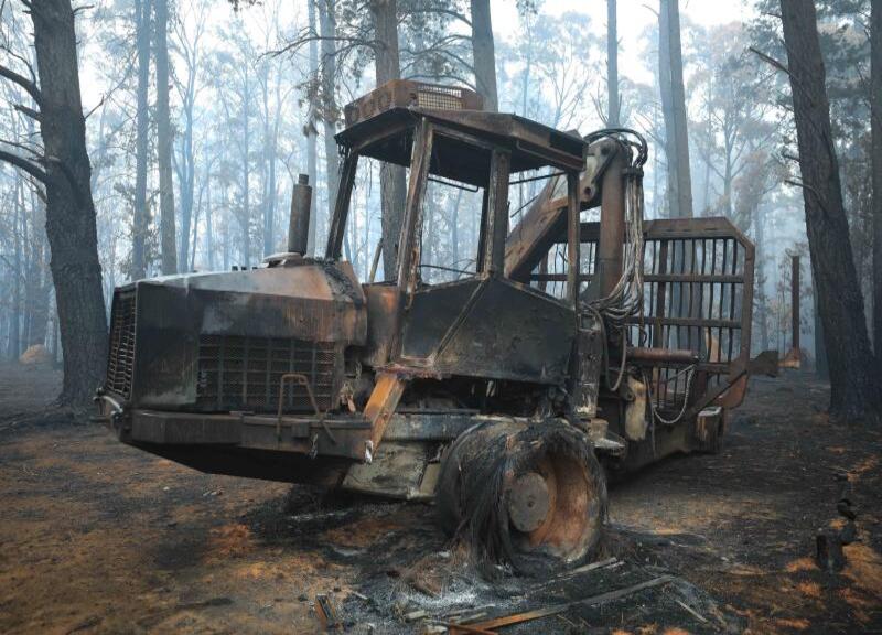 Incendi, locuste, epidemie: agricoltura, la vera vittima dei disastri naturali Incendi, locuste, epidemie: agricoltura, la vera vittima dei disastri naturali