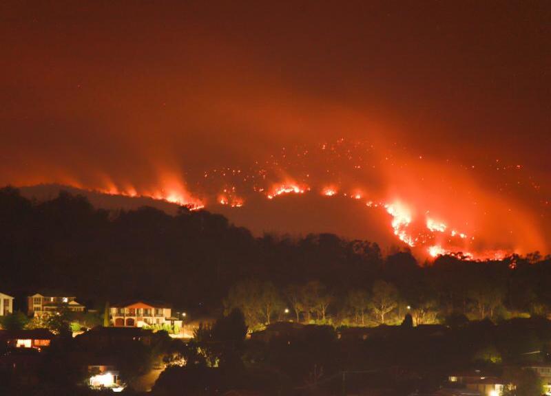 Incendi, locuste, epidemie: agricoltura, la vera vittima dei disastri naturali Incendi, locuste, epidemie: agricoltura, la vera vittima dei disastri naturali