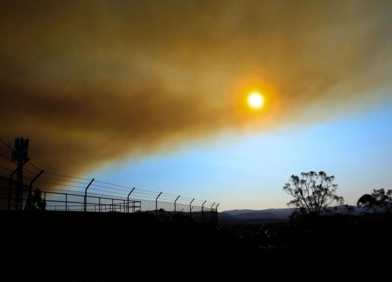 Incendi, locuste, epidemie: agricoltura, la vera vittima dei disastri naturali Incendi, locuste, epidemie: agricoltura, la vera vittima dei disastri naturali