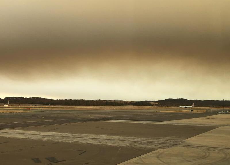 Incendi, locuste, epidemie: agricoltura, la vera vittima dei disastri naturali Incendi, locuste, epidemie: agricoltura, la vera vittima dei disastri naturali