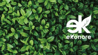 Prius Management. Sinergia fra professionalità e attenzione all’ambiente