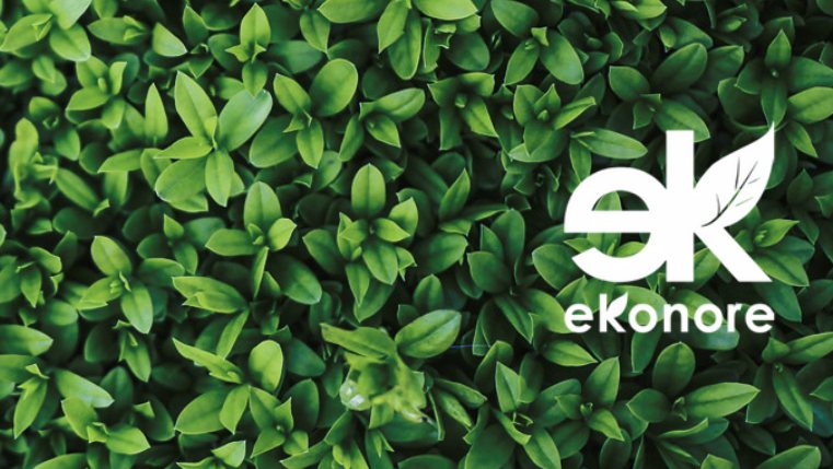 Prius Management. Sinergia fra professionalità e attenzione all’ambiente Prius Management. Sinergia fra professionalità e attenzione all’ambiente