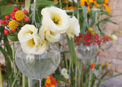 Abusivismo, oltre 250 piante sequestrate.La merce donata alle parrocchie