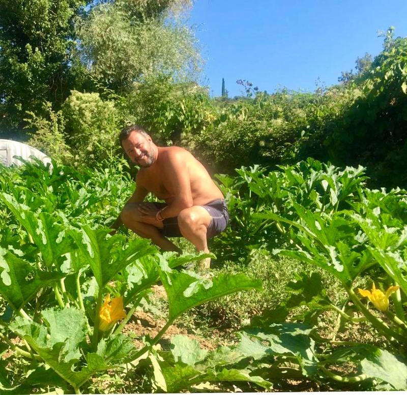 Da Meloni ai “gastro-post” di Salvini: la politica si fa col cibo (social) Da Meloni ai “gastro-post” di Salvini: la politica si fa col cibo (social)