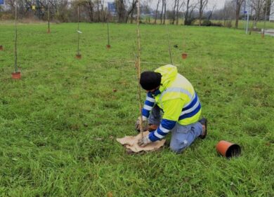 Arbolia, sostenibilità ambientale: accordo triennale con Global Power Plus