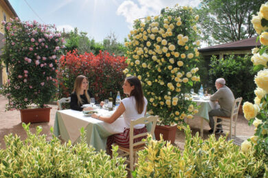 Farmaceutica, Giuliani acquista l’azienda emiliana Nathura