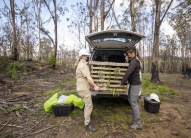 Il caso delle spie a Roma danno pesante per l’agricoltura