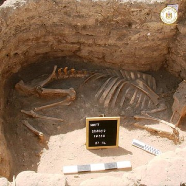 Egitto, straordinaria scoperta a Luxor: ritrovata la città d’oro di 3000 anni Egitto, straordinaria scoperta a Luxor: ritrovata la città d’oro di 3000 anni