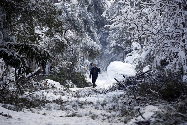 Le nevicate di aprile in Europa? Colpa del riscaldamento globale nell’Artico