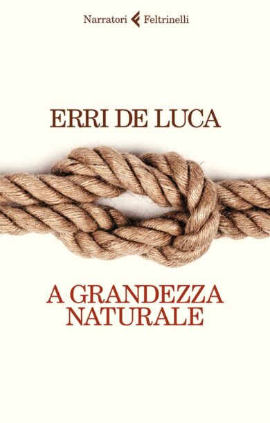 Erri De Luca, A grandezza naturale: storie estreme di genitori e figli
