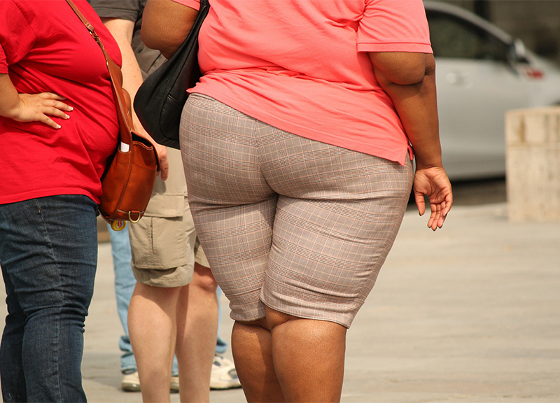 Obesi per colpa di un interruttore della fame nell’ipotalamo. La scoperta Obesi per colpa di un interruttore della fame nell’ipotalamo. La scoperta