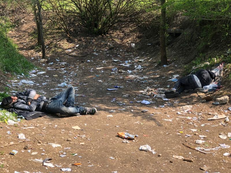 Milano Rogoredo, Sardone (Lega): “Nuovo boschetto dell’eroina”. FOTO