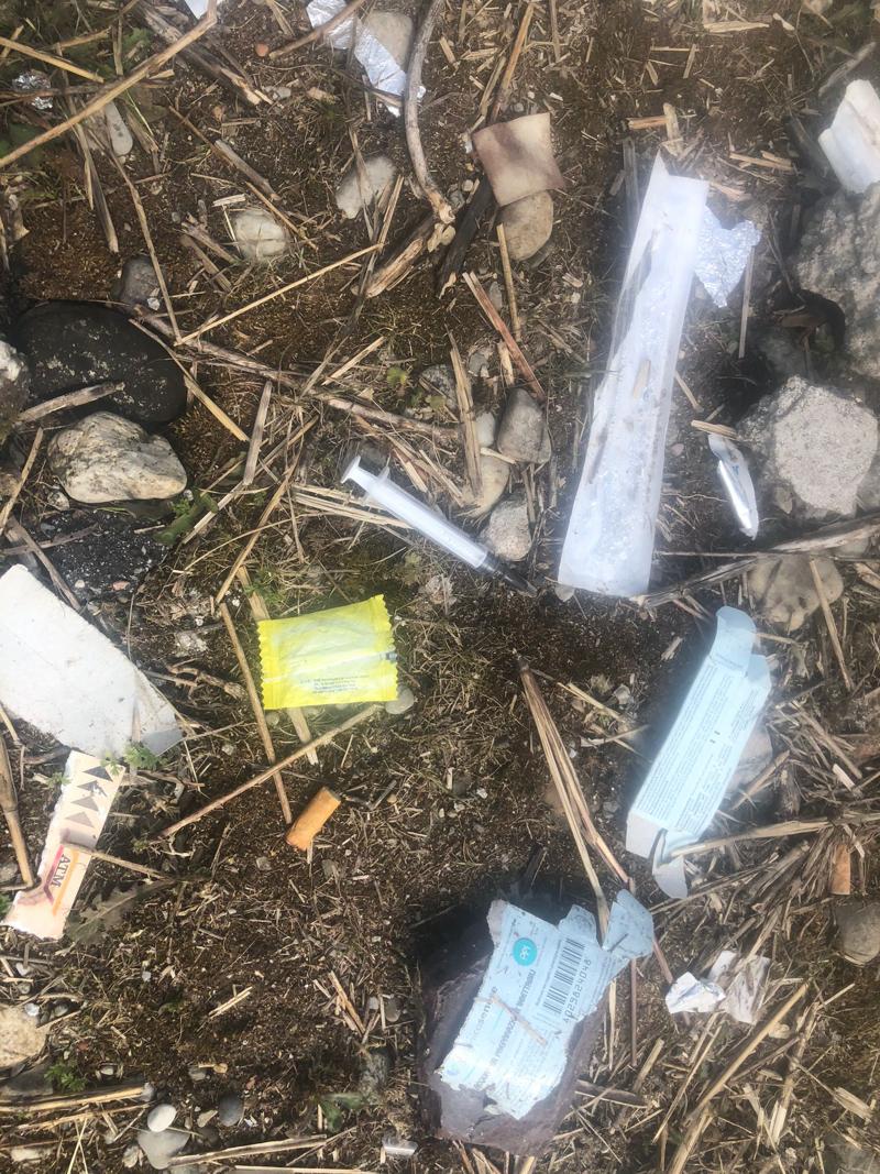 Milano Rogoredo, Sardone (Lega): “Nuovo boschetto dell’eroina”. FOTO