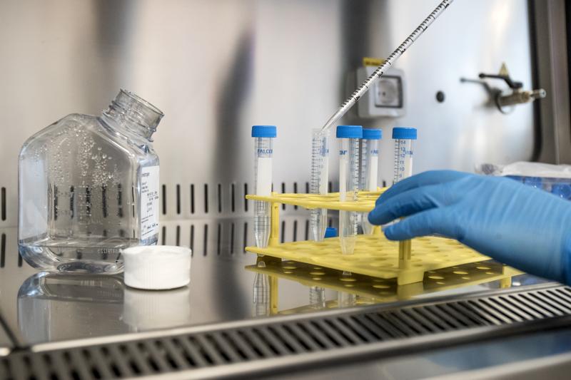 Ricerca, i cervelli italiani all’estero eccellenza nel mondo Ricerca, i cervelli italiani all’estero eccellenza nel mondo