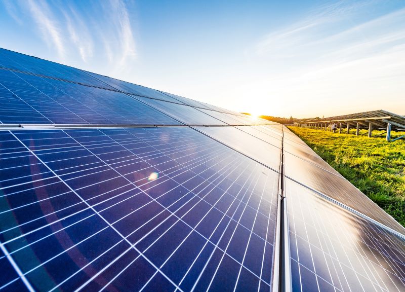 ENGIE accelera lo sviluppo nelle rinnovabili progetto agro-fotovoltaico con Amazon ENGIE accelera lo sviluppo nelle rinnovabili progetto agro-fotovoltaico con Amazon
