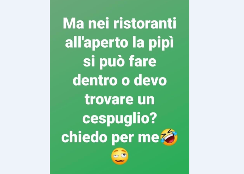 Covid vissuto con ironia/ Ristoranti all’aperto ok. Pipì dietro un cespuglio? Covid vissuto con ironia/ Ristoranti all’aperto ok. Pipì dietro un cespuglio?