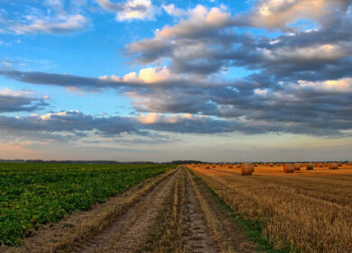 Eni, al via SouthUp: la call per le startup agritech al Sud