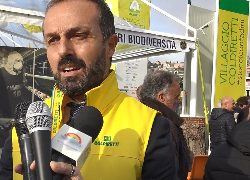 Recovery: Coldiretti, con 600 milioni spinta agli italiani a vivere nei borghi Recovery: Coldiretti, con 600 milioni spinta agli italiani a vivere nei borghi