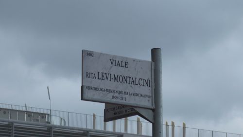 Mind, intitolazione delle vie. Sala: “Da qui riparte Milano”. FOTO Mind, intitolazione delle vie. Sala: “Da qui riparte Milano”. FOTO