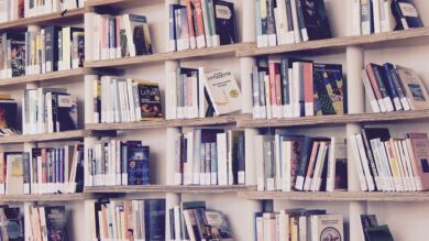 Aler, inaugurata la biblioteca condominiale “Falcone e Borsellino”