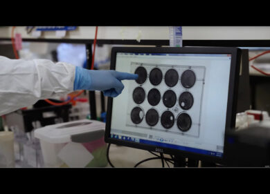 Covid, dall’Australia arriva la cura con le nanoparticelle: virus KO al 99,9%