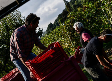 Agriturismi, il governo si convince: dopo articolo Affari aiuti all’unanimità
