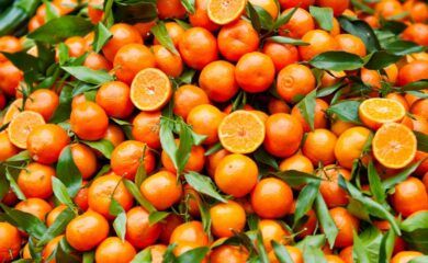 Biorfarm, con il crowdfunding raggiunto 1 milione di euro di investimenti