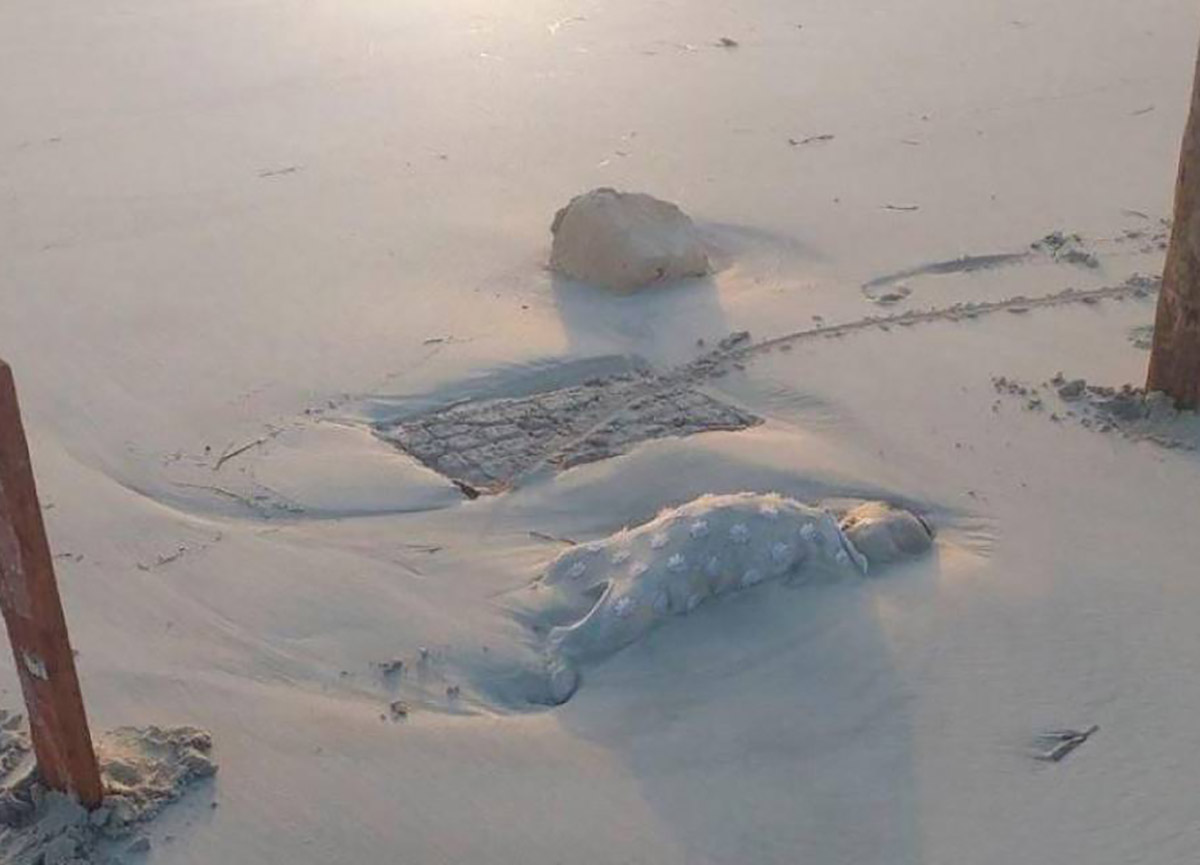Libia, immagini terribili dalle spiagge. Trovati corpi di bambini morti. Foto