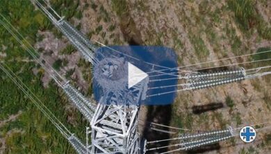 Benvenuta primavera: riecco le cicogne di Grazzanise con 5 pulli. Enpa esulta