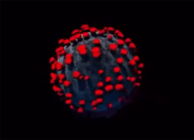 Coronavirus come i vampiri: il sole lo distrugge il fretta. Lo studio italiano