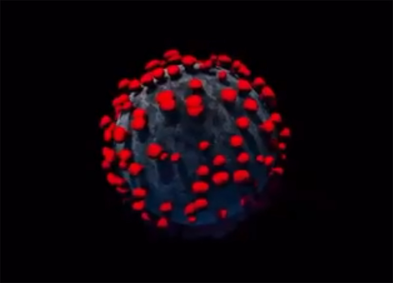 Coronavirus come i vampiri: il sole lo distrugge il fretta. Lo studio italiano Coronavirus come i vampiri: il sole lo distrugge il fretta. Lo studio italiano