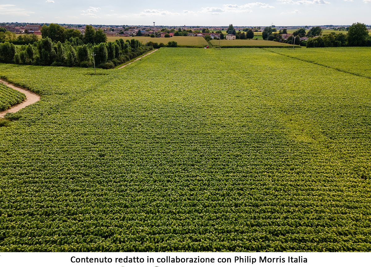 Philip Morris e Coldiretti: 10 anni di integrazione della filiera del tabacco Philip Morris e Coldiretti: 10 anni di integrazione della filiera del tabacco