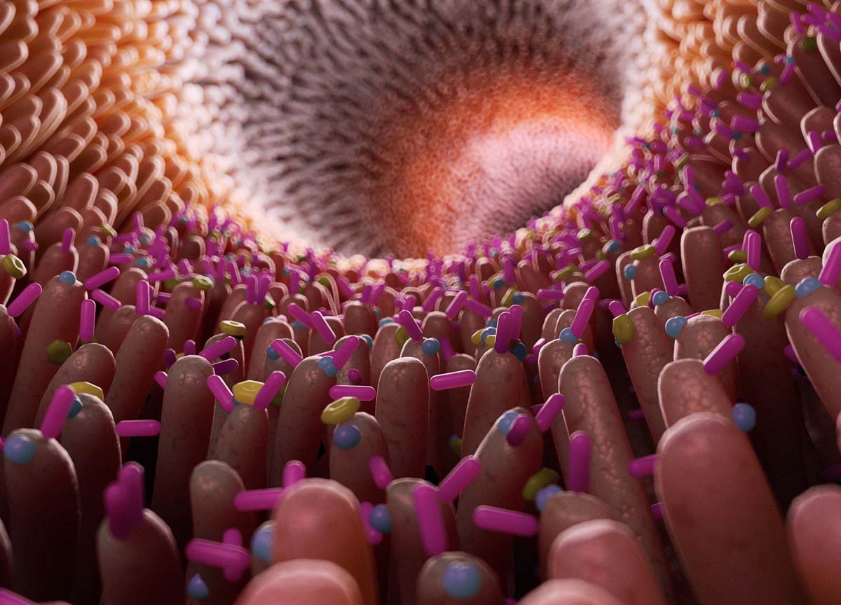 Nuove scoperte: al microbiota piace (un sacco) la dieta mediterranea Nuove scoperte: al microbiota piace (un sacco) la dieta mediterranea