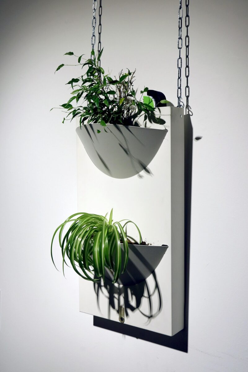 Design competion in Expo Dubai: i progetti vincitori in mostra in Regione.FOTO Design competion in Expo Dubai: i progetti vincitori in mostra in Regione.FOTO