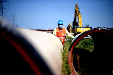 Carbon neutrality nel Milanese: Gruppo CAP donerà a Forestami 2.780 alberi