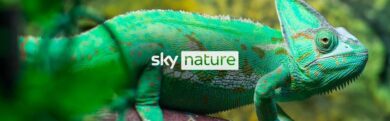 Sky lancia 4 nuovi canali: Serie, Investigation, Documentaries e Nature